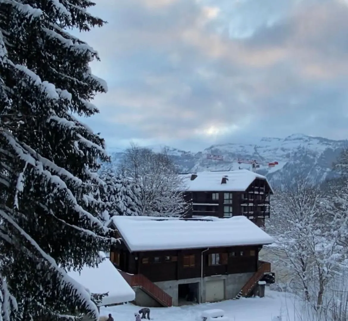 Loge Des Reveurs Apartment Les Carroz d'Araches
